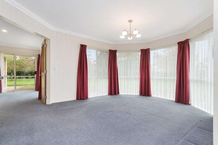 297 Bellevue Road Matangi_10