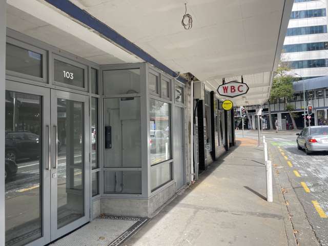 1/103 Victoria Street Te Aro_3