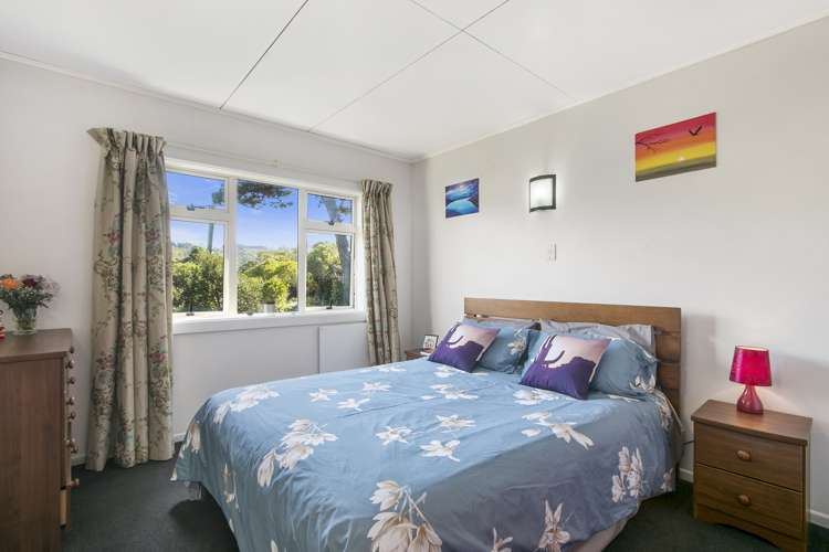 7 Pine Tree Lane Korokoro_13