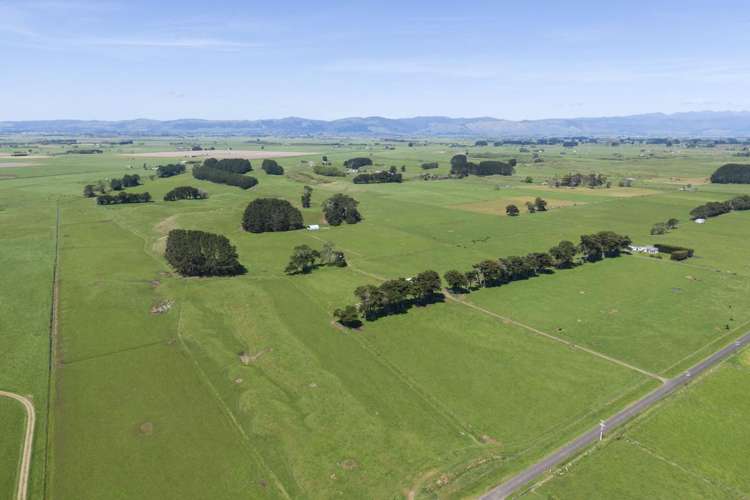 335a Couper Road Glen Oroua_26