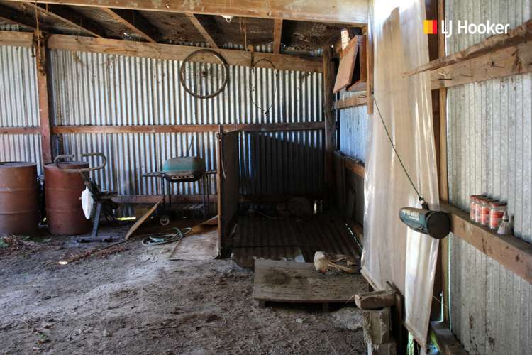 24 Campbelton Street Lawrence_17