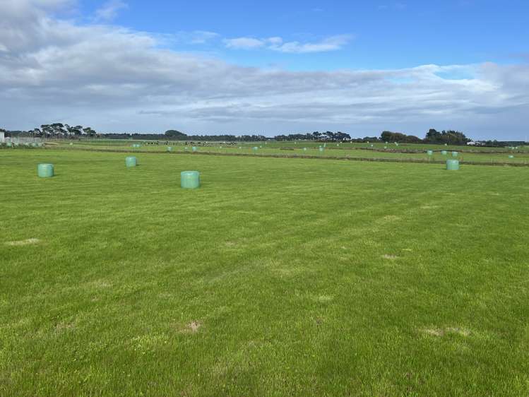 Lot 16/110 Orr Road_4