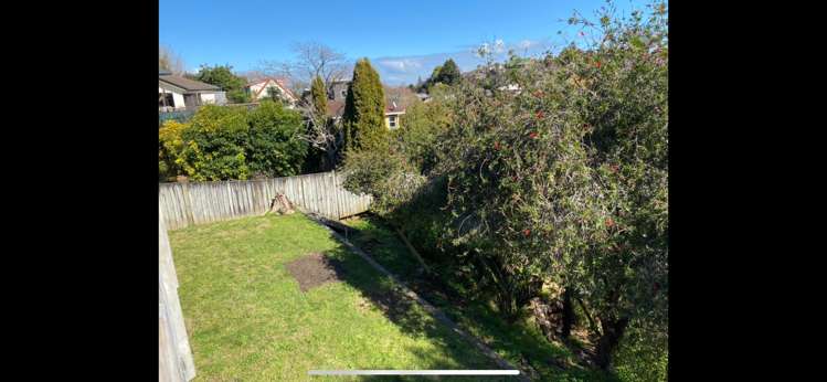 17a Thomson Avenue Dinsdale_7