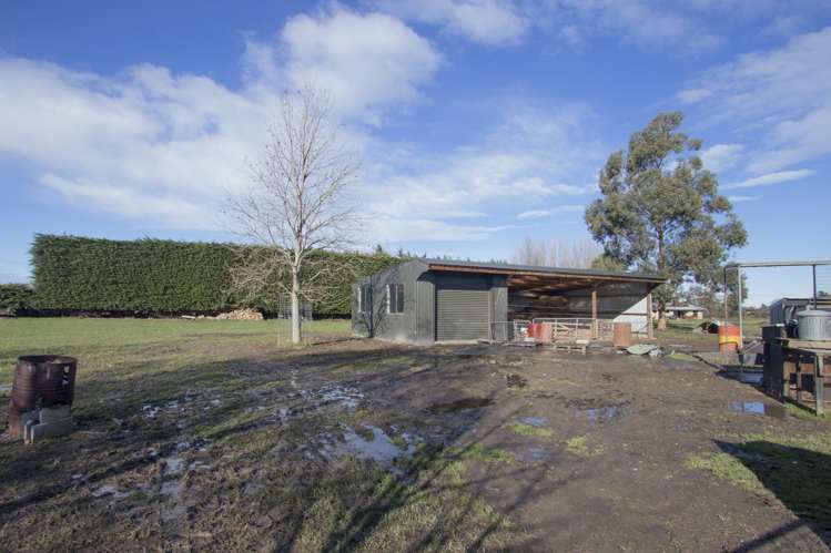 100 Wilkins Road Tinwald_19