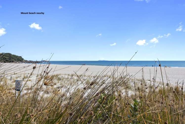 64a Gloucester Road Mount Maunganui_10