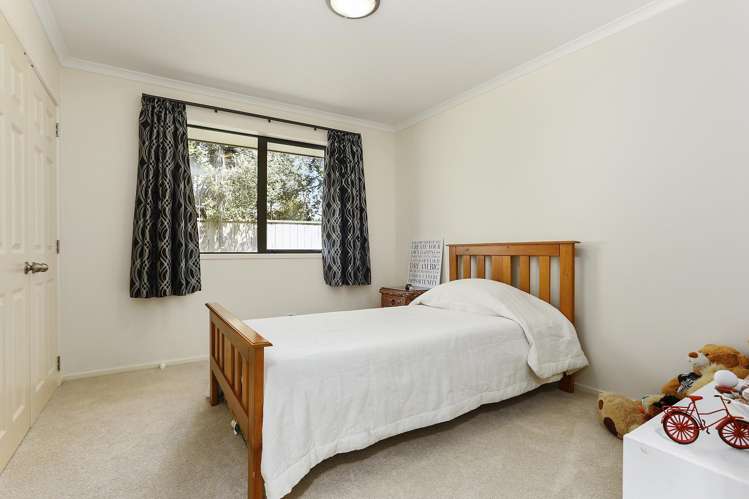 240 Pine Valley Road Dairy Flat_13