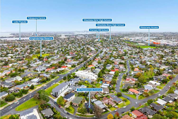 55 Meadowvale Avenue Forrest Hill_7