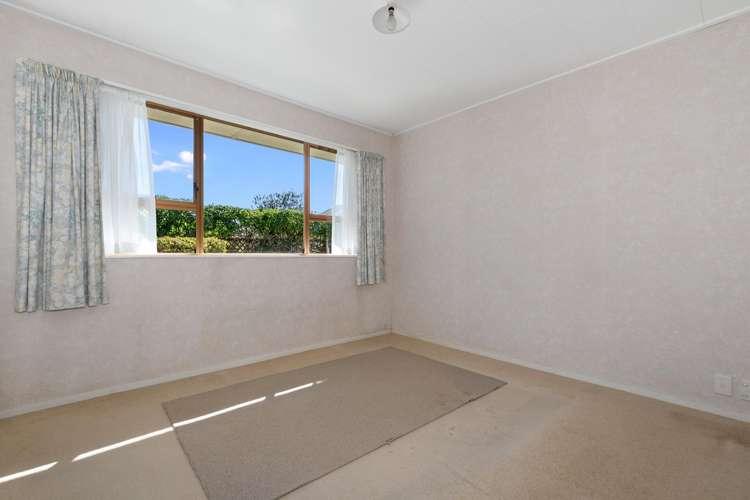 52d Third Avenue Tauranga Central_8