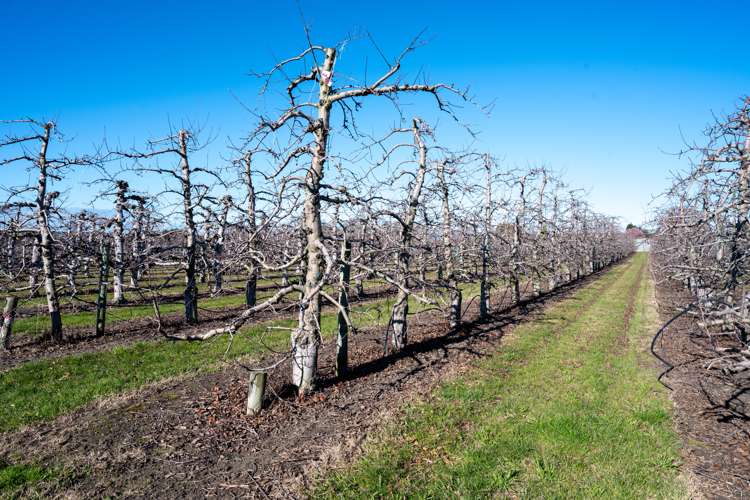 20 Parsons Road Meeanee_23