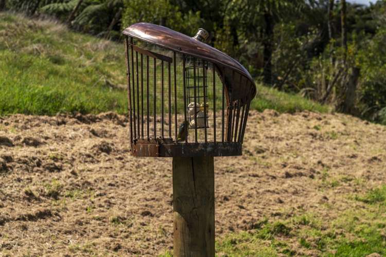 1411a Upper Ohauiti Road Ohauiti_11