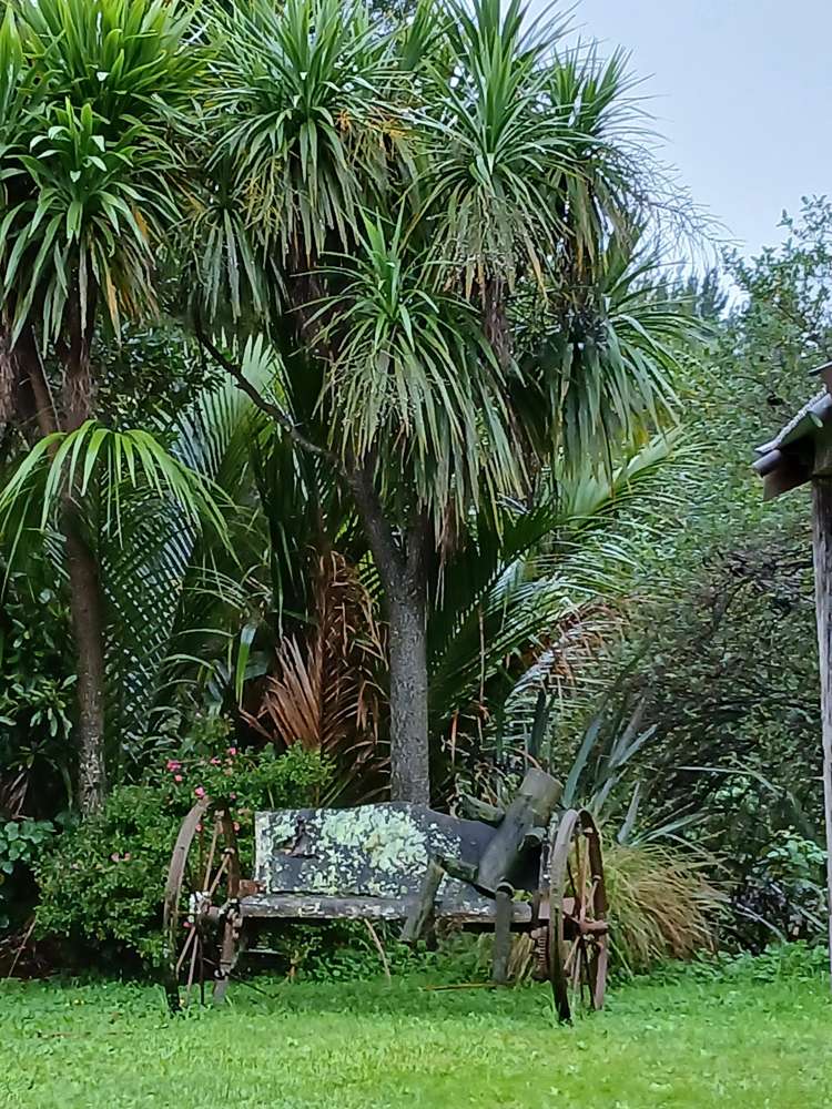 505 Old Highway Whakamarama_15