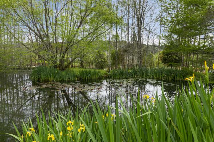 37B Robinson Road Coatesville_12