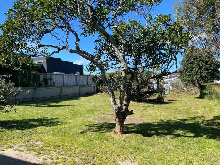 40 Alberta Street Pt Chevalier_17