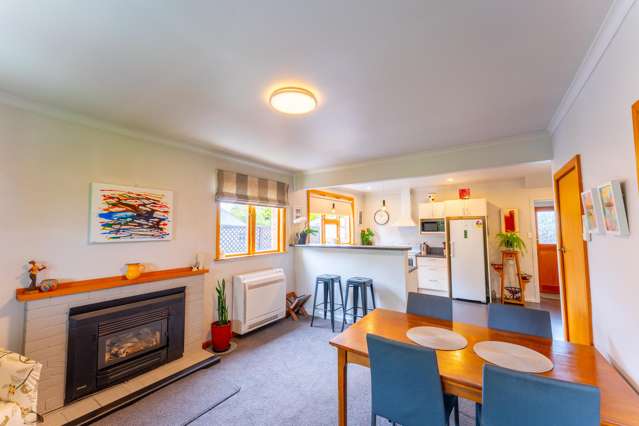 48 Trafalgar Street Maori Hill_4