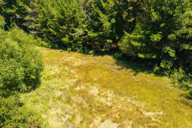 51 Mahana School Road Mahana_4