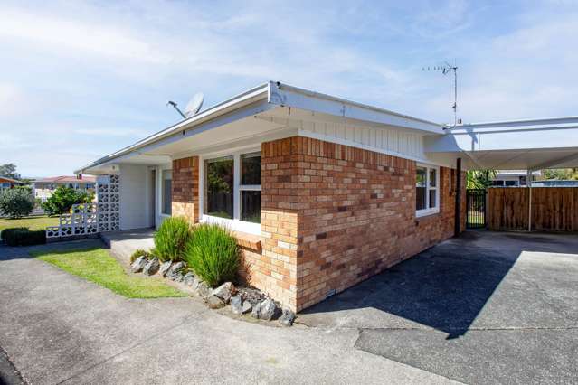 9B Elizabeth Avenue Morrinsville_1