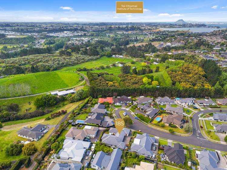 185 Rowesdale Drive Ohauiti_43