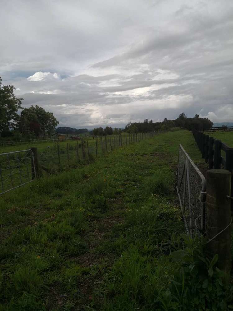 641 Kohanga Road Onewhero_6