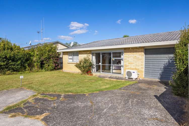 42A Livingstone Avenue Nawton_24