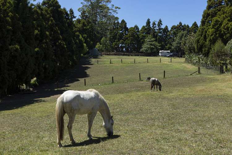 41 Te Ra Road Kerikeri_28