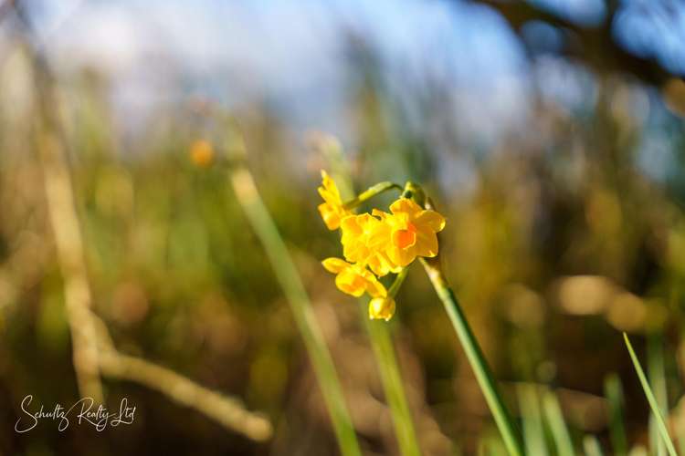 1181 State Highway 12 Maungaturoto_43