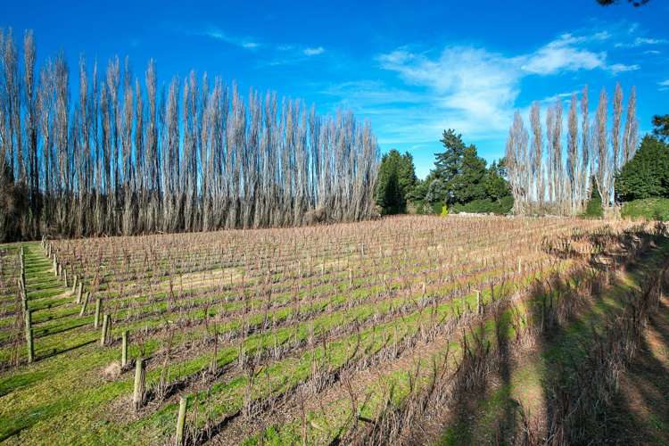 781 Outram-Mosgiel Road Mosgiel_6