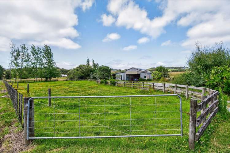 198b Devich Road Mangawhai_25