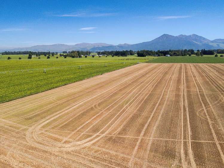 1710 Ealing Montalto Road Ashburton_39