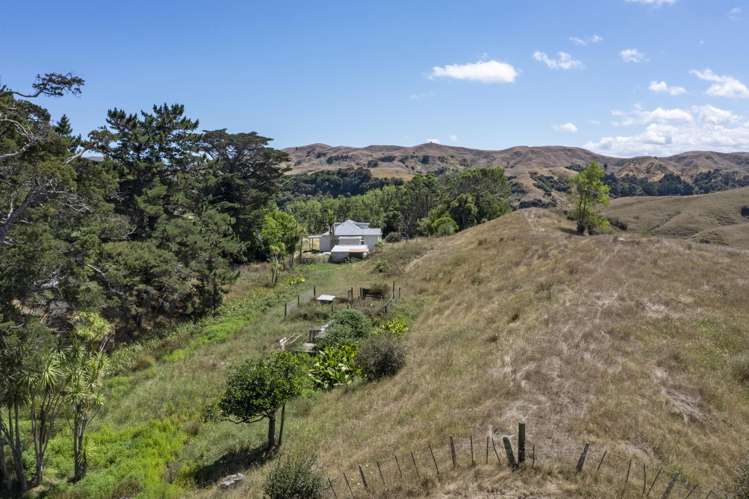 475 Te Akau South Road Te Akau_13