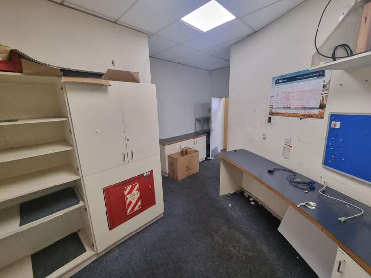 227 Riddiford Street Newtown_8