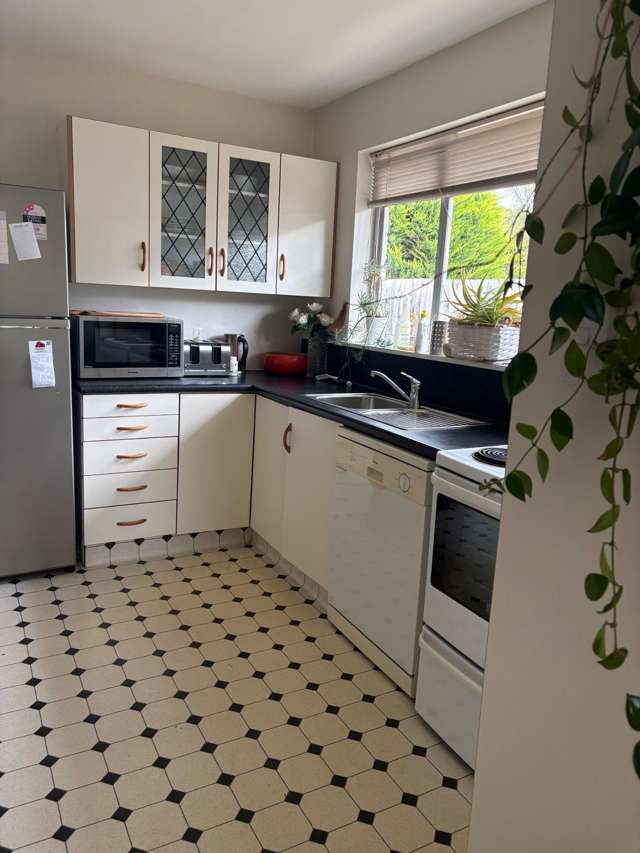 23 Wildberry Street Woolston_2