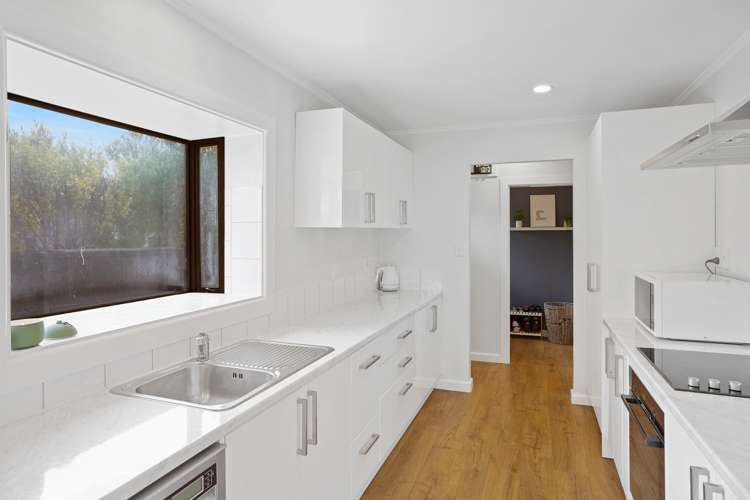 45 Emlyn Place Avondale_5