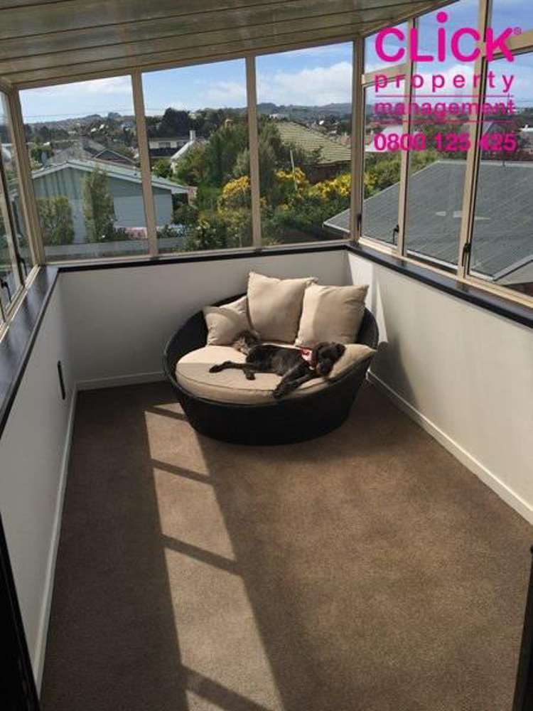 Otago Street Picton_3