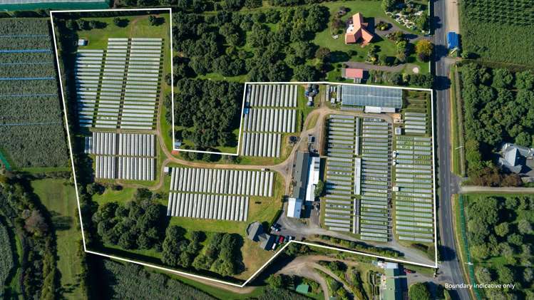 107 Ongare Point Road Katikati_2