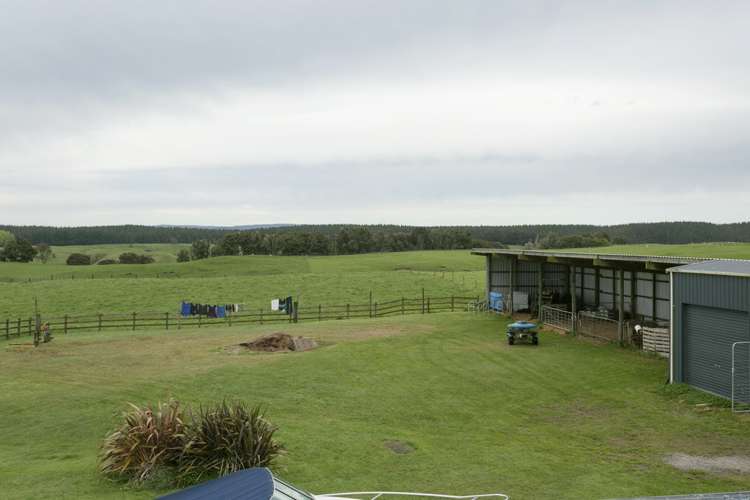 560 Hingarae Road Tihoi_19