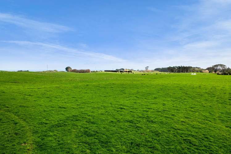 294 Kiri Road Te Kiri_27