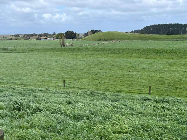 78 Brandon Hall Road Bulls_15