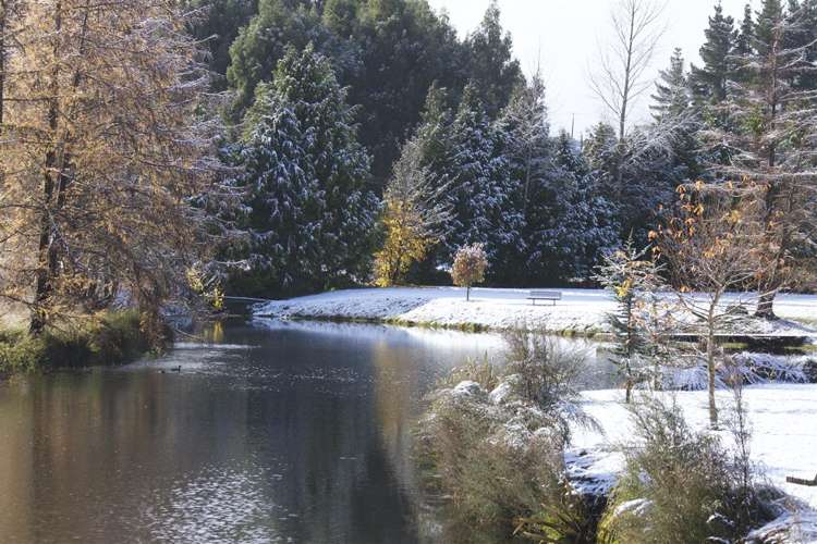 23 Park Avenue Ohakune_13