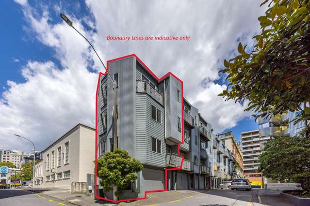 6a Scotia Place Auckland Central_1