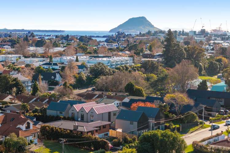 1/34 Briarley Street Tauranga South_22