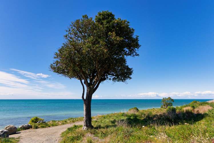 29 Te Keepa Road Oaro_18