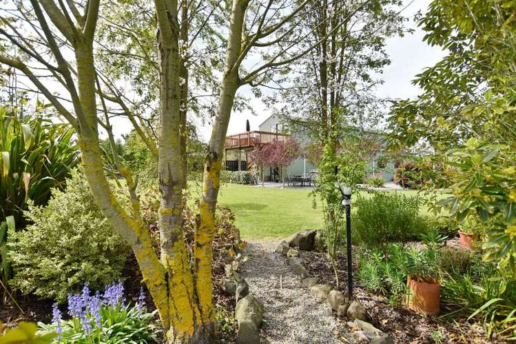 2585 South Eyre Road West Eyreton_18