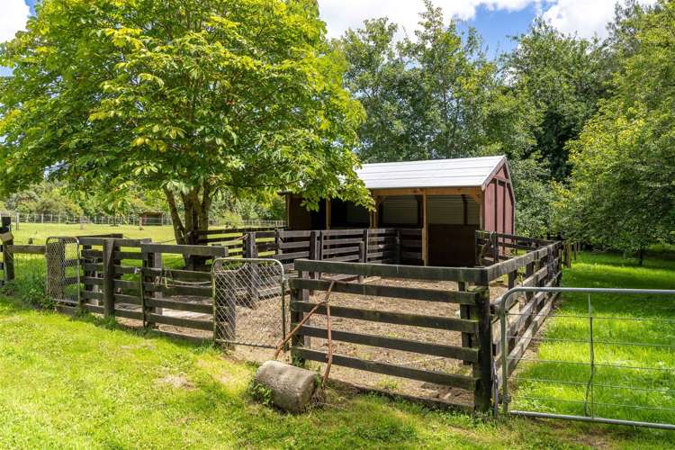 281f Lees Pakaraka Road Masterton_3