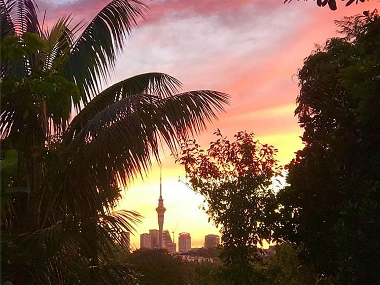 552 Richmond Road Grey Lynn_29