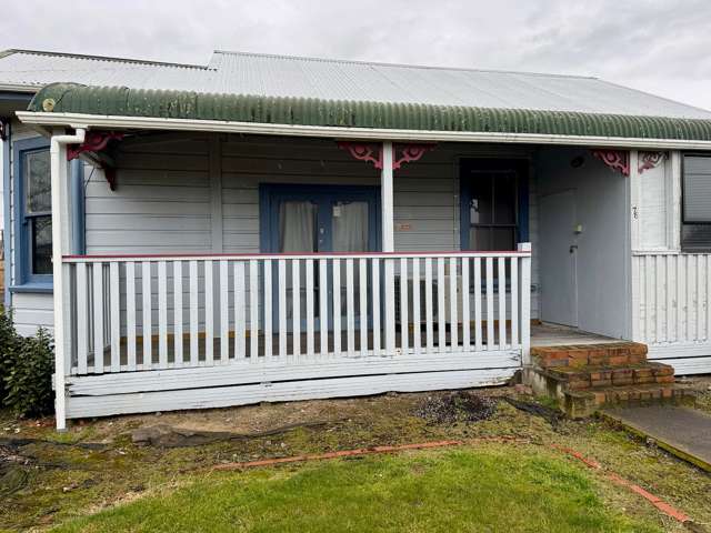 176 Tiro Tiro Road Levin_1