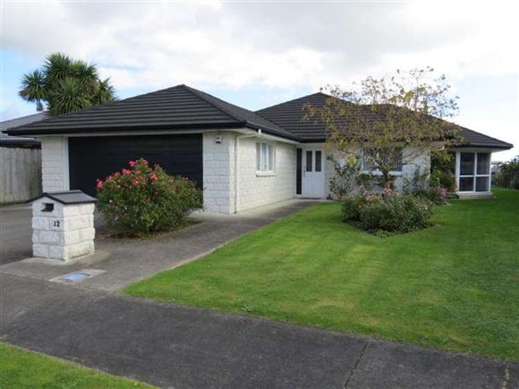 12 Tainui Street Levin_0