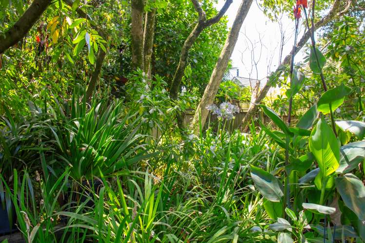 30 Titoki Street Palmerston North Central_21