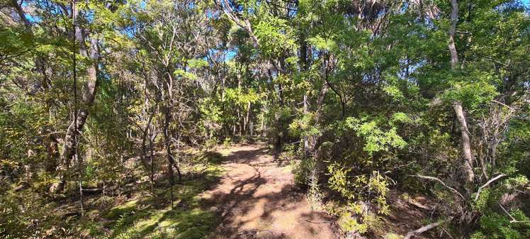 Whangaroa Road Kaeo_16