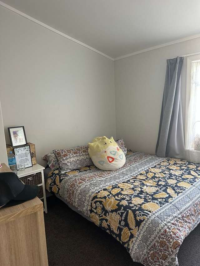 66 Hereford Street Cannons Creek_4