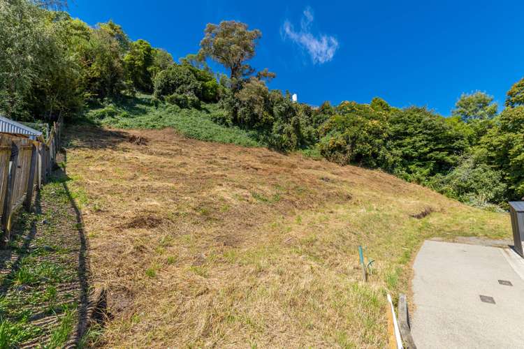 25 Champion Terrace Moana_5